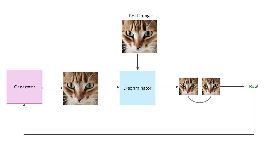 Training Process